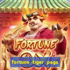 fortune tiger paga de madrugada